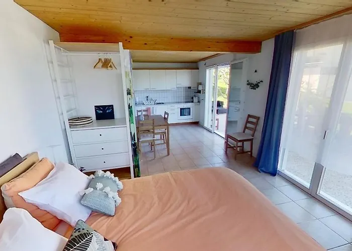 Apartament De Avec Vue Sur Le De Morat *