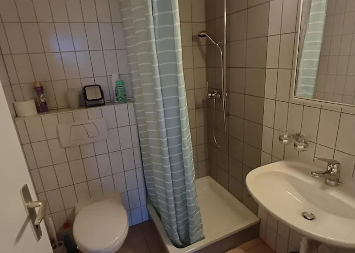 De Avec Vue Sur Le De Morat Apartament