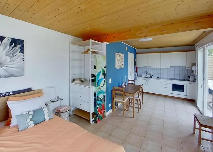 Apartament De Avec Vue Sur Le De Morat *