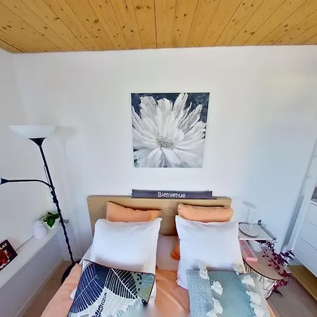 De Avec Vue Sur Le De Morat アパート *