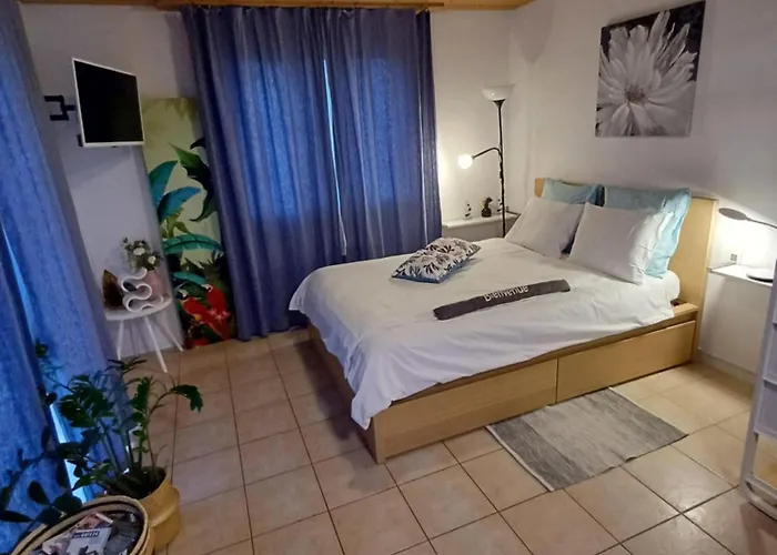 De Avec Vue Sur Le De Morat アパート Vully-les-Lacs